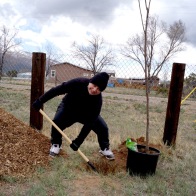 Misty Archuleta planting a tree with a smile despite snow and wind, photo by Claire Coté